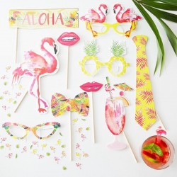 Summer Party Photo Booth Props - Flamingo Fun