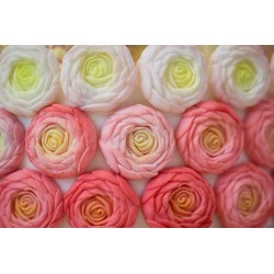 Molde Silicone Flores de Buttercream