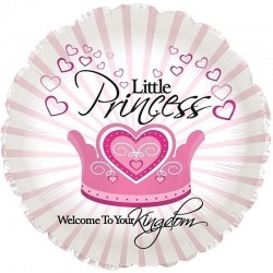 Welcome Little Princess