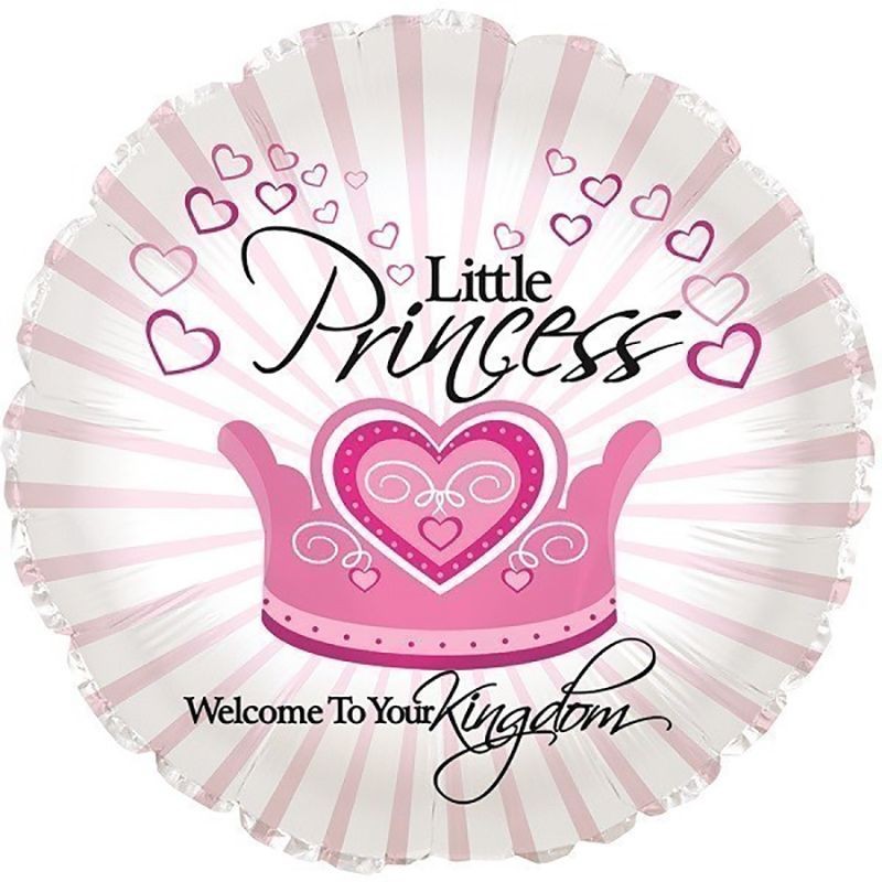 Welcome Little Princess