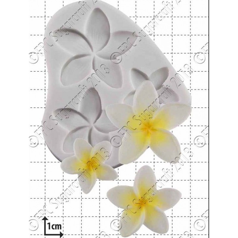 Molde Silicone Frangipani