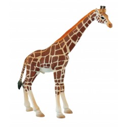 Girafa Touro