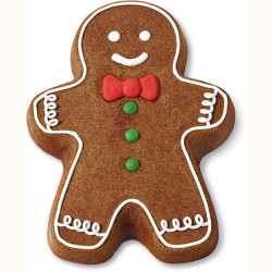 Forma de Gingerman Gigante com Tampa