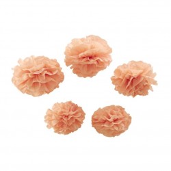 Conjunto de 5 Pom-Pons Rosa -Pastel Perfection