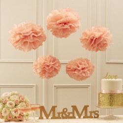 Conjunto de 5 Pom-Pons Rosa -Pastel Perfection