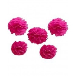 Conjunto de 5 Pom-Pons Neon Rosa - Neon Birthday