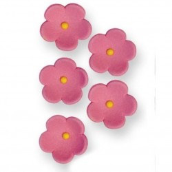 Pack 30 Flores Blossom Rosa